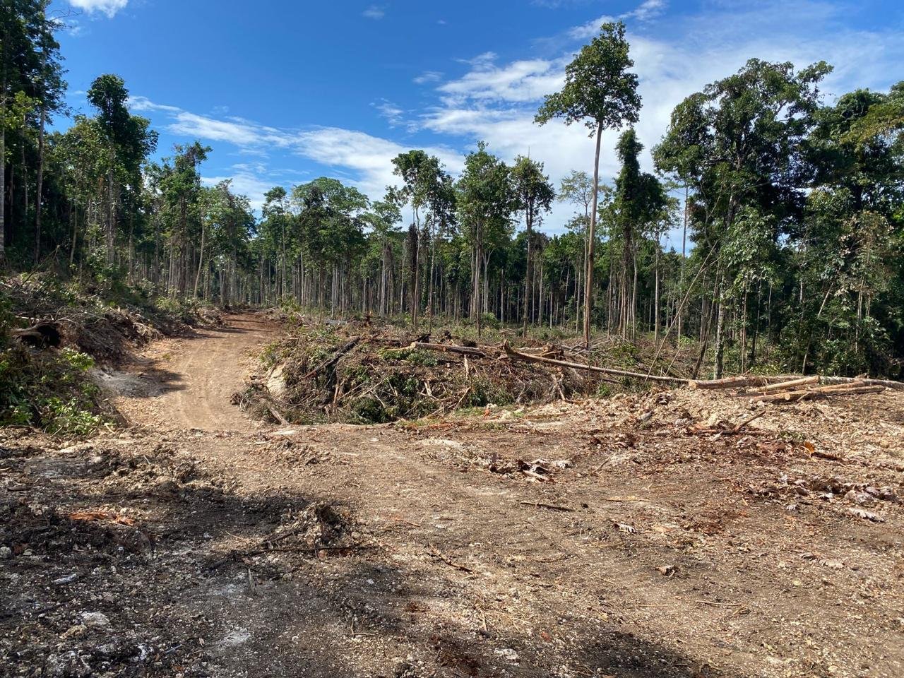 TUTURA.ID - Gerak cepat mewujudkan kawasan pangan