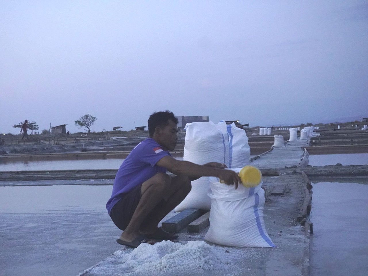 TUTURA.ID - Balada petani garam Gen Z di tengah murahnya harga Garam Talise 