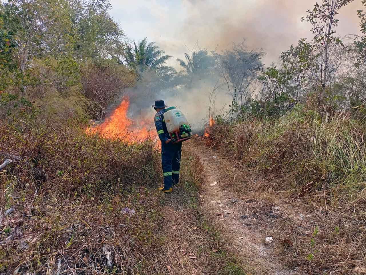 TUTURA.ID - Pemicu kebakaran hutan dan lahan bukan semata faktor cuaca panas