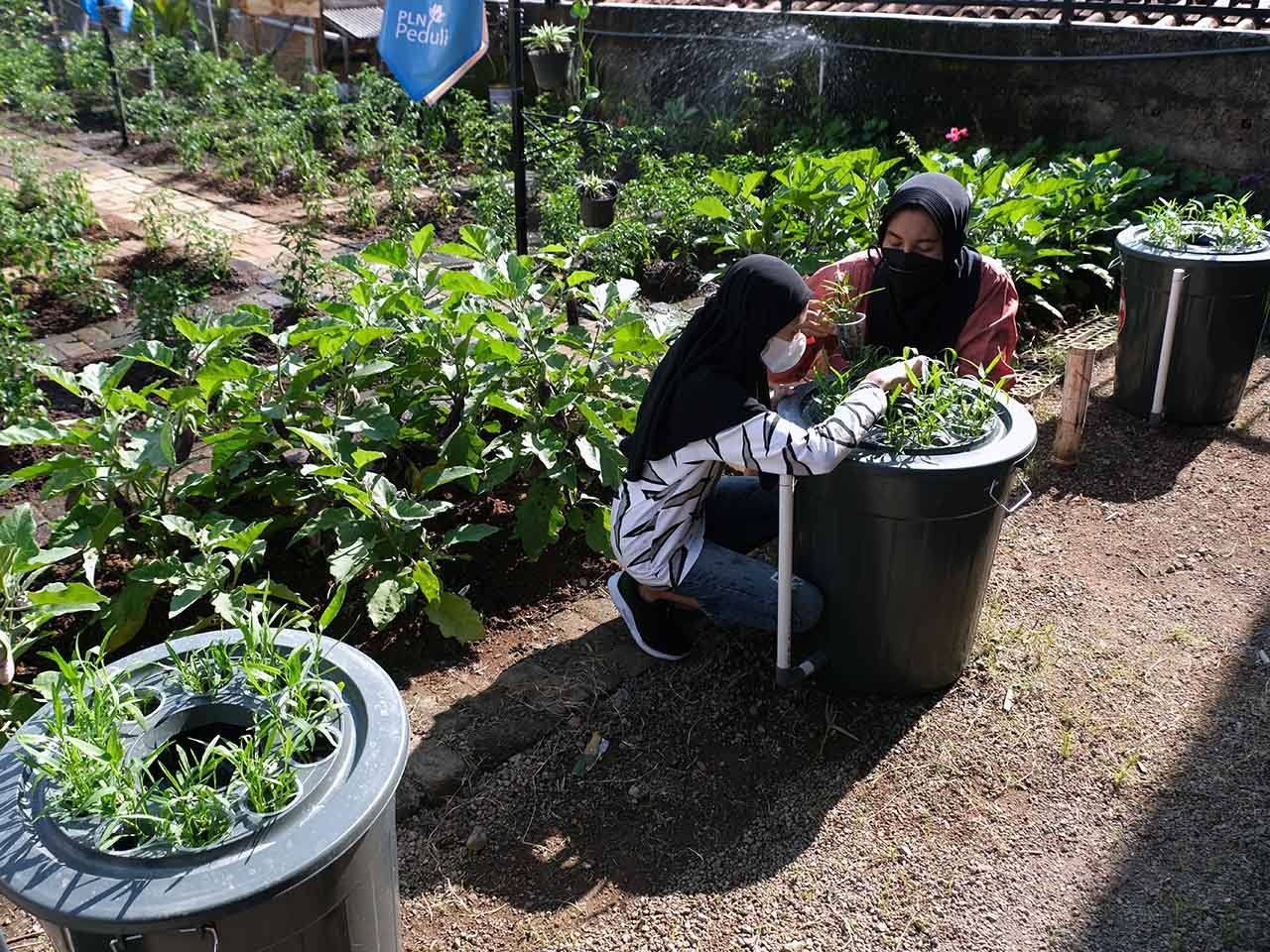 TUTURA.ID - Petani milenial untuk membangun masa depan pertanian yang berkelanjutan