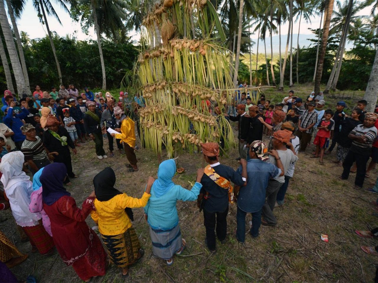 TUTURA.ID - Mengenal kayori ala Suku Tajio penghuni Kayuou Tobata